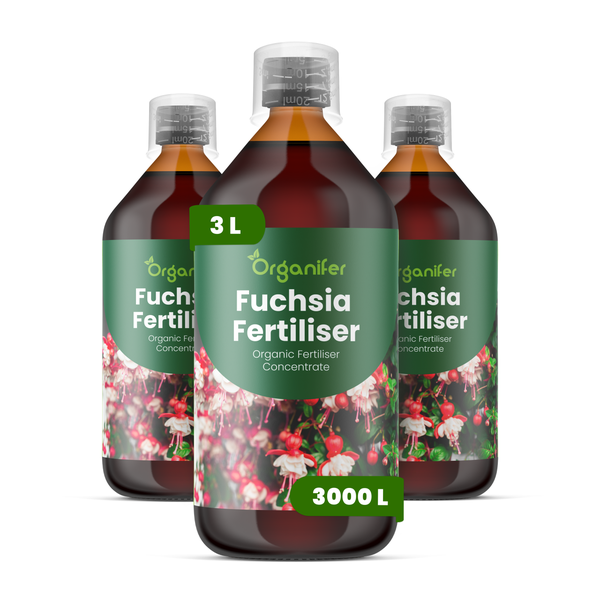 Organifer Rutenhirse Dünger, organisches Konzentrat, 1 Liter Flasche für 1000 Liter Gießwasser.