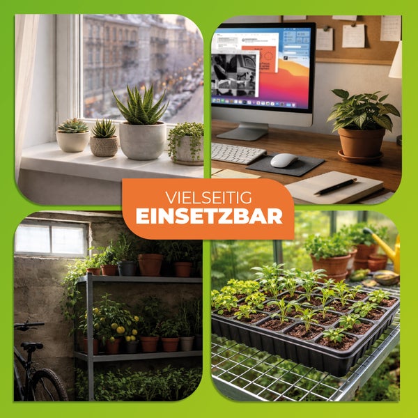 Collage zeigt vielseitige Einsatzmöglichkeiten von Pflanzen auf der Fensterbank, am Schreibtisch, im Kellerregal und im Gewächshaus.