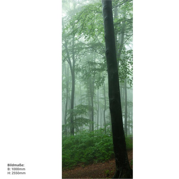 Nebeliger Wald mit Bäumen und Unterholz
