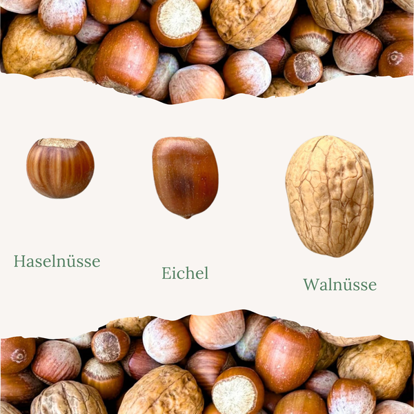 Orni Nüsse-Mix für Eichhörnchen 1kg