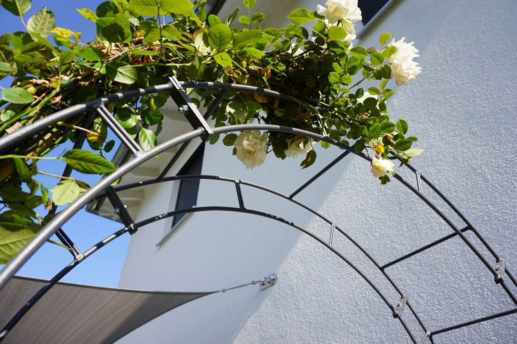 Rosenbogen ELEO Cremona 140x34x230 cm Metall anthrazit - pulverbeschichtet schwarz