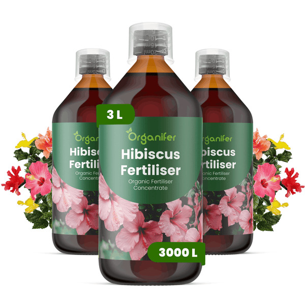 Drei Flaschen Organifer Hibiskusdünger, organisches Flüssigdüngerkonzentrat für Hibiskus, drei Liter für 3000 Liter Düngerlösung.