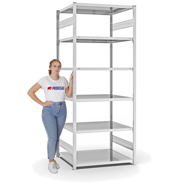 PROREGAL Fachbodenregal Stecksystem T-Profil Light-Duty Grundregal HxBxT 250 x 100 x 80 cm 6 Ebenen Fachlast 130 kg Beidseitig Nutzbar Lichtgrau