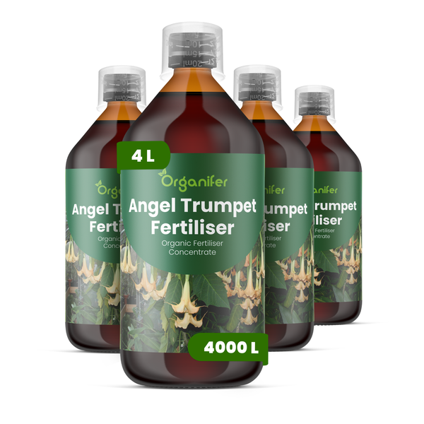 Vier Flaschen Organifer Engelstrompeten-Dünger, organisches Flüssigdünger-Konzentrat, 4 Liter für 4000 Liter.