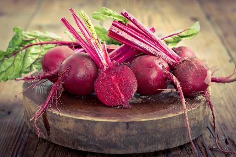 SAFLAX  - BIO - Rote Beete - Detroit Globe - Beta vulgaris - 100 Samen - Mit keimfreiem Anzuchtsubstrat