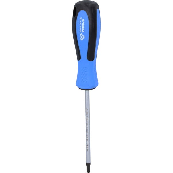 BRILLIANT TOOLS Schraubendreher TORX T20 x 100 mm - BT031013
