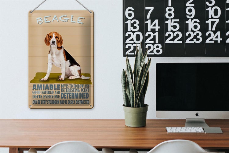 Blechschild Spruch 20x30cm Beagle Hund loves to follow any