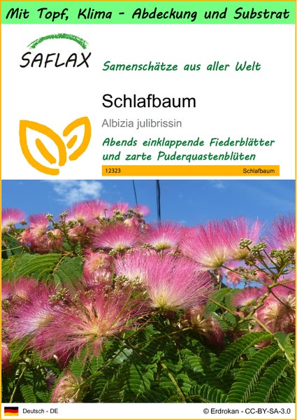 SAFLAX Garden to go - Schlafbaum - Albizia julibrissin - 50 Samen - Mit Topf, Klima - Deckel und Anzuchtsubstrat
