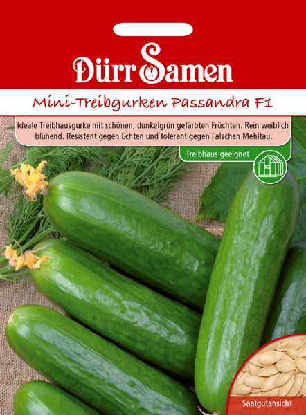 Dürr Samen Logo. Saatgut für Mini-Treibgurken Passandra F1, geeignet für das Gewächshaus, mit Abbildung grüner Gurken und Samenansicht.