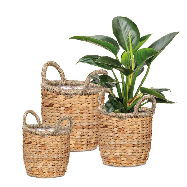 Scheurich Water hyacinth 28, Korbgefäß/Korb-Pflanzgefäß/Korbtopf mit Griffen aus Water hyacinth Farbe: Nature , 28 cm Durchmesser, 23,5 cm hoch, 13,1 l Vol.