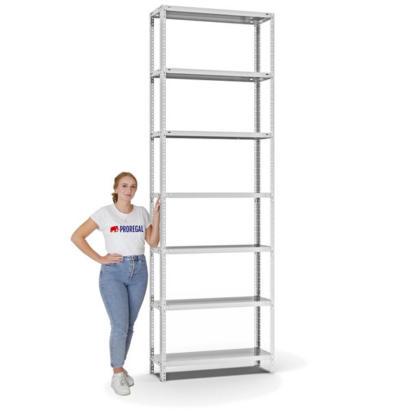 PROREGAL Fachbodenregal Schraubsystem Light-Duty Grundregal HxBxT 300 x 100 x 30 cm 7 Ebenen Fachlast 125 kg Beidseitig Nutzbar Lichtgrau