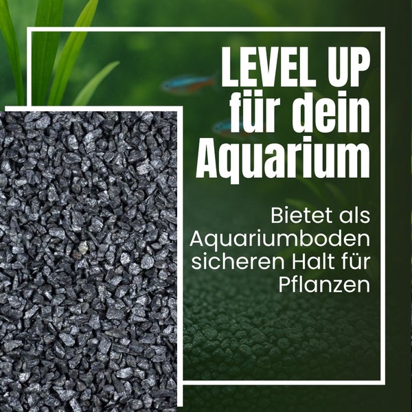 Aquariumkies bietet sicheren Halt für Pflanzen