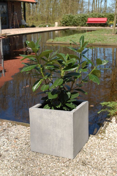 Quadratischer Pflanzkübel in Betonoptik mit grünem Strauch auf Kies in einer hellen Gartenanlage mit Teich.