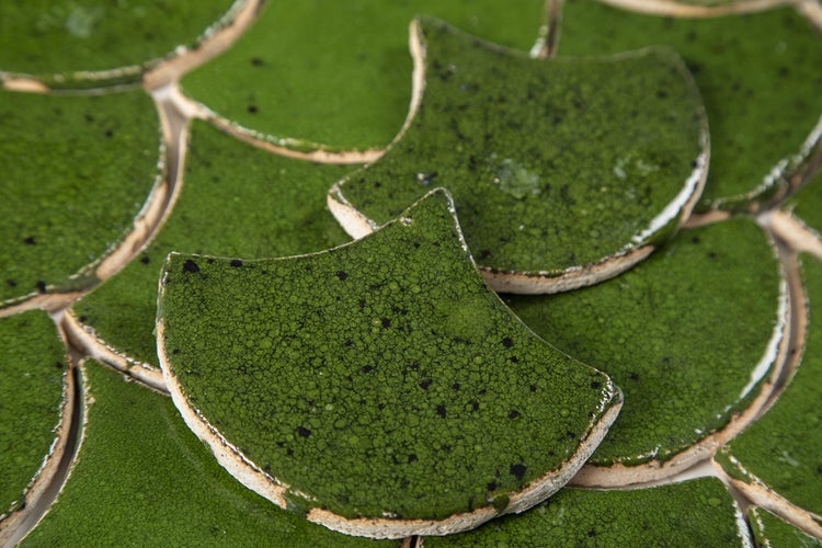 Nahaufnahme von grünen und weißen Keramikfliesen