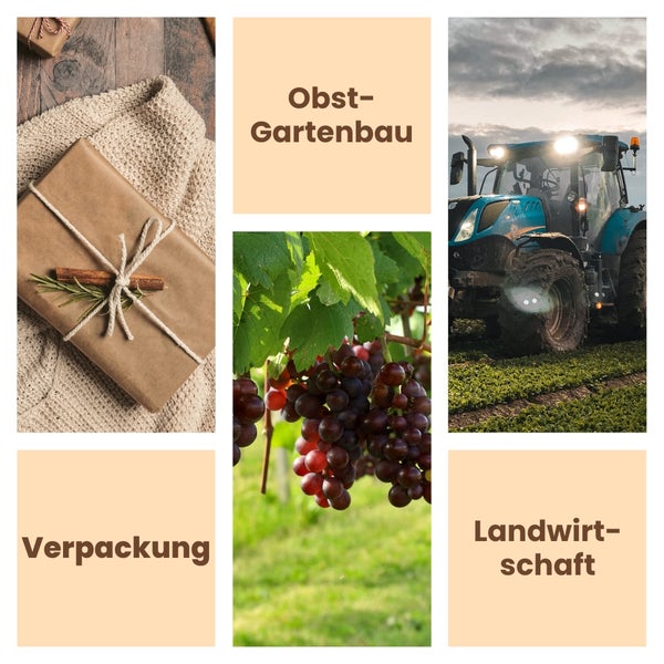 Collage zu den Themen Verpackung, Obst-Gartenbau und Landwirtschaft mit Geschenkpaket, Weintrauben am Rebstock und einem Traktor auf dem Feld.