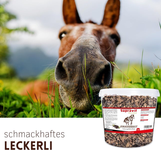 Supravit Johannisbrot Pferdesnack mit einem Pferd im Hintergrund