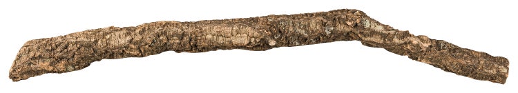 Naturkork-Ast für Terrarien, strukturierte Korkrinde als Dekoration.