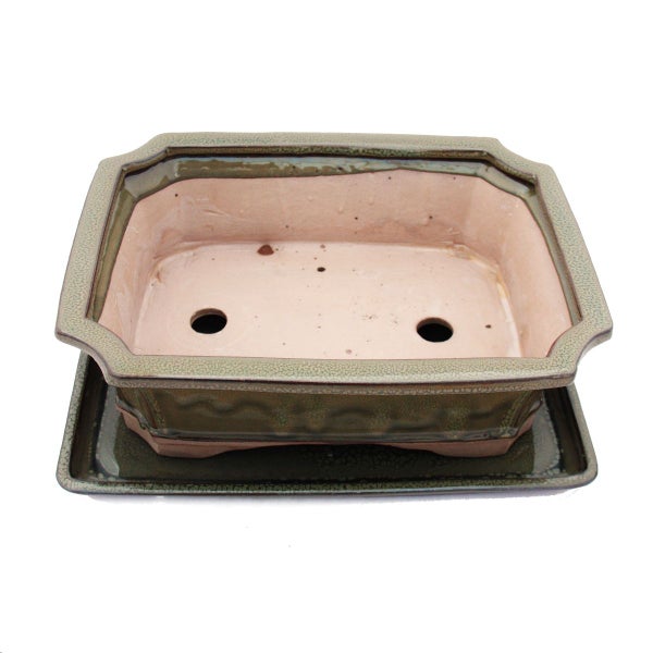 Bonsai-Schale mit Unterteller Gr. 5 - Oliv-Braun - eckig - Modell G4 - L 31cm - B 23cm - H 9,5 cm
