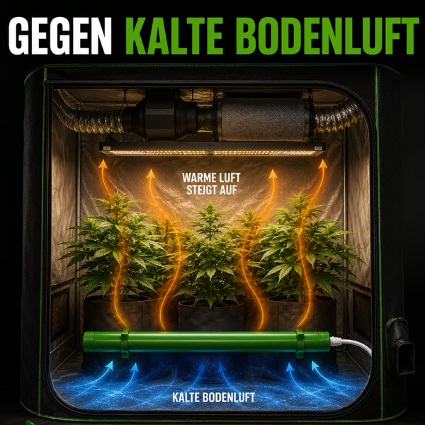 Eine Heizstange in einem Growzelt zur Vermeidung kalter Bodenluft, die Wärme gleichmäßig verteilt und das Pflanzenwachstum fördert.