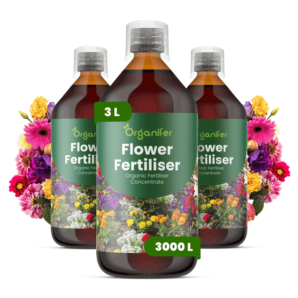 Drei 3-Liter-Flaschen Organifer Flower Fertiliser, organisches Flüssigdüngerkonzentrat für Blumen, dargestellt mit bunten Blüten.