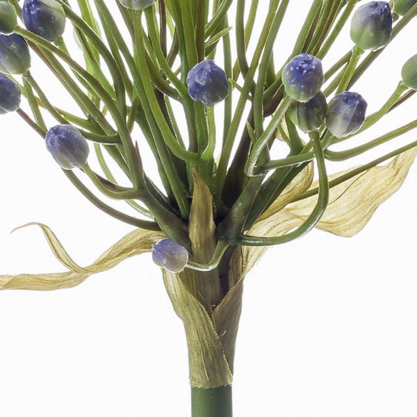 Spanisches Moos Tillandsia usneoides Luftpflanze zur Dekoration