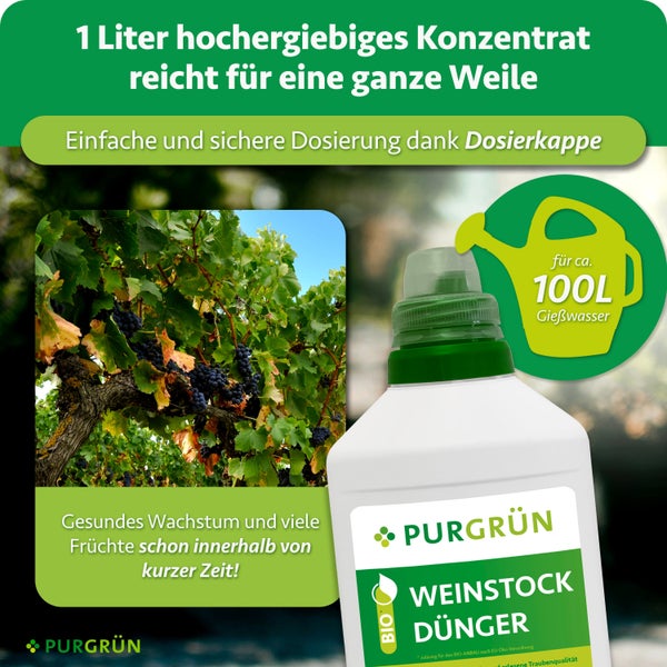 Eine Flasche Purgrün Weinstock Dünger Konzentrat mit Dosierkappe für einhundert Liter Gießwasser für gesundes Wachstum von Weinreben.