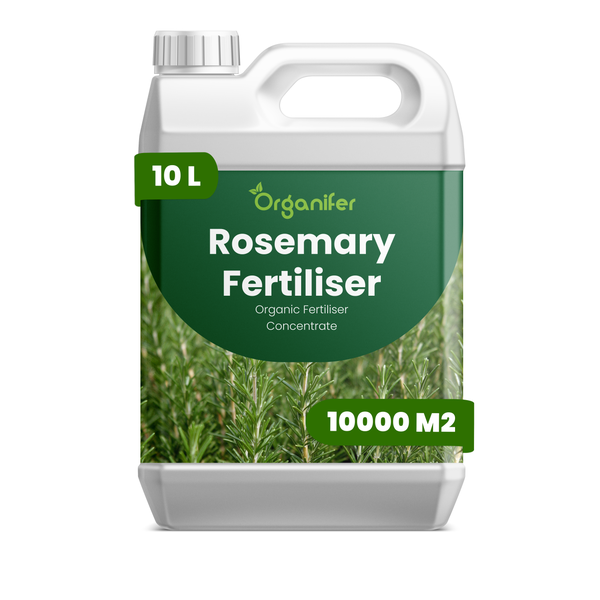 Organifer Rosmarindünger, 10 Liter organisches Düngerkonzentrat für 10000 Quadratmeter.