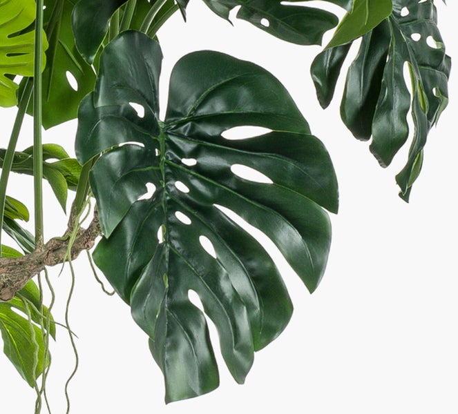 Nahaufnahme einer künstlichen Monstera-Pflanze mit grünen, gelochten Blättern und einem braunen, strukturierten Stamm.