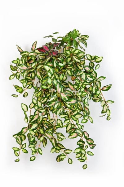 Künstliche Hängepflanze mit grün-weiß-rosa gemusterten Blättern und hängenden Ranken.