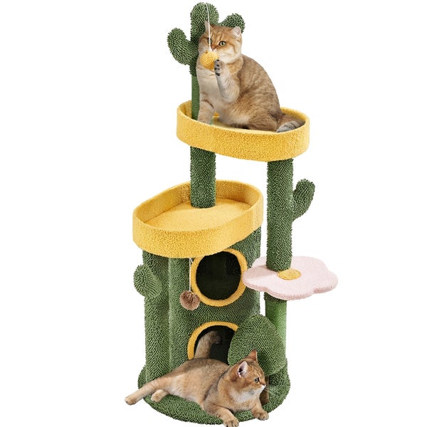 Katzenkratzbaum im Kaktus Design mit zwei Katzen