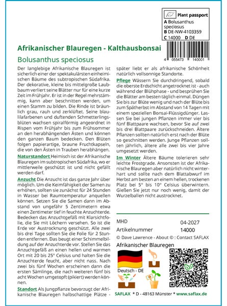 SAFLAX  - Afrikanischer Blauregen - Bolusanthus speciosus - 15 Samen