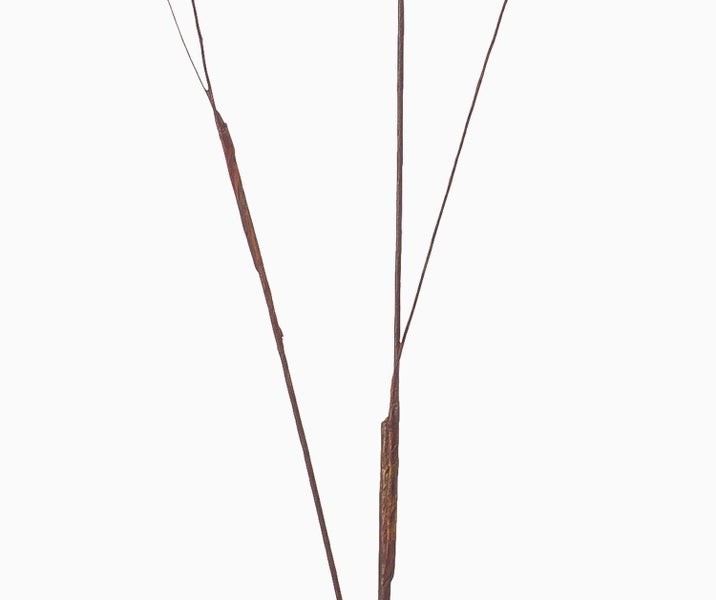 Künstlicher Dekozweig mit feinen grünen Blättern und schmalen braunen Ästen.