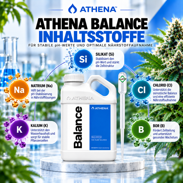 Athena Balance Pflanzendünger in Kanister mit Inhaltsstoffen Silikat Natrium Kalium Chlorid und Bor zur Stabilisierung des pH-Wertes.