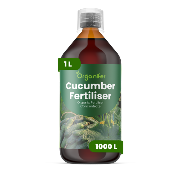 Gurkensaft-Dünger 1L – 3-4-3 NPK - Flüssigdünger Für Gemüse – Für Gesunde Blätter & Üppige Früchte – Fördert Wurzeln & Vitalität – Organifer