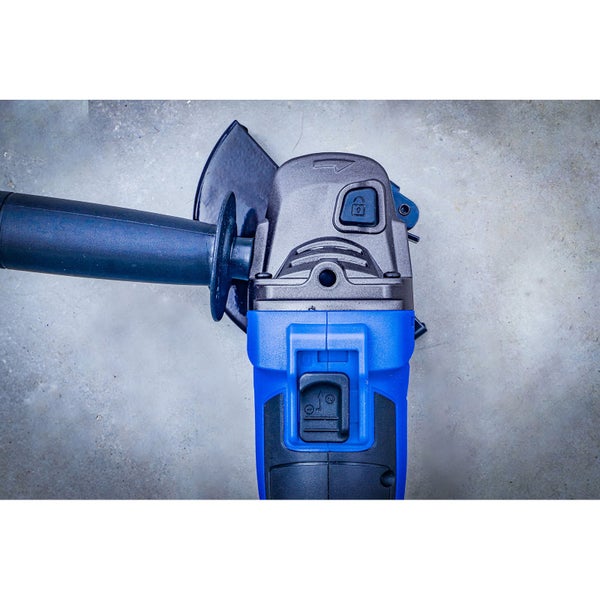 Blühender Strauch im Garten