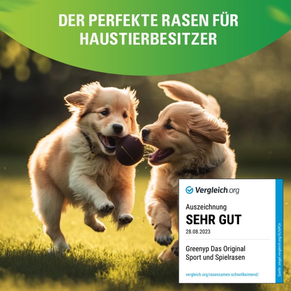Greenyp Sport I strapazierfähiger Sport-& Spielrasen I 5kg für 200m² I Sportrasen Grassamen Rasensamen Rasensaat Gras Nachsaat schnellkeimend