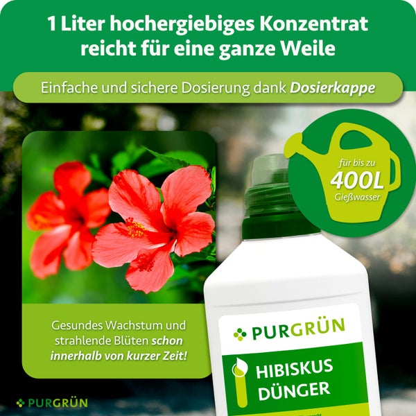 Purgrün Hibiskus Dünger Konzentrat in der 1 Liter Flasche für bis zu 400 Liter Gießwasser mit Dosierkappe für gesundes Wachstum und Blüten.