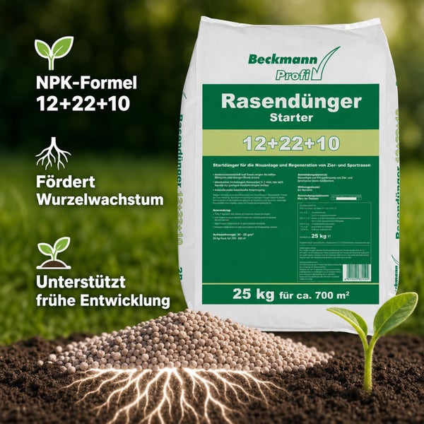 Beckmann Profi Rasendünger Starter 25 Kilogramm Sack mit NPK Formel 12 plus 22 plus 10 zur Förderung von Wurzelwachstum und Rasenentwicklung.