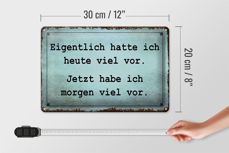 Blechschild Spruch 30x20cm eigentlich hatte ich viel vor