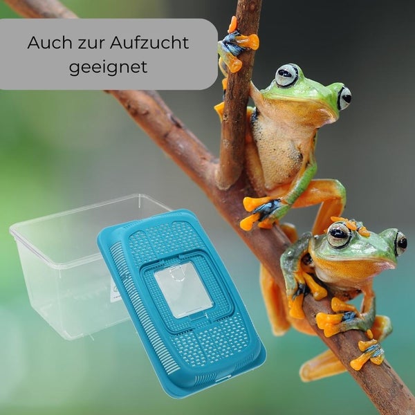 Faunabox Transport Quarantäne Box Tierbeobachtung Urzeitkrebse Triops Heimchen Fauna Box Insektenbox Amphibien Faunarium Gr. L