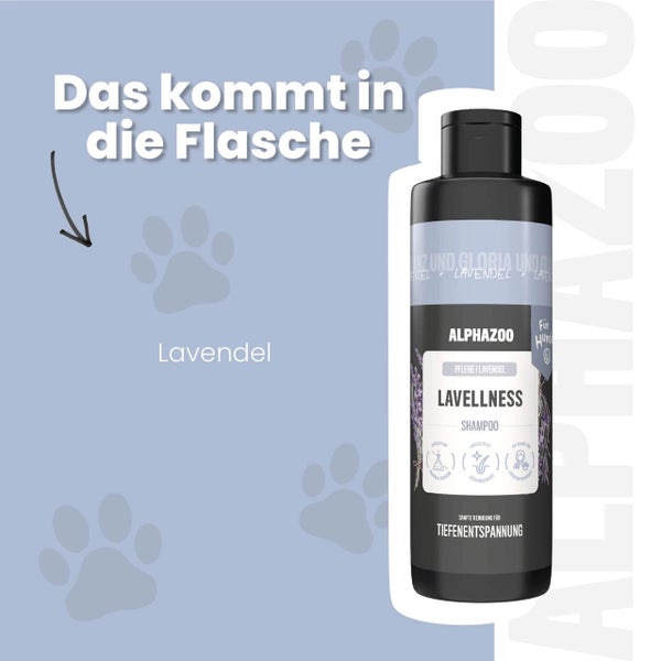 Alphazoo Lavellness Hundeshampoo mit Lavendel