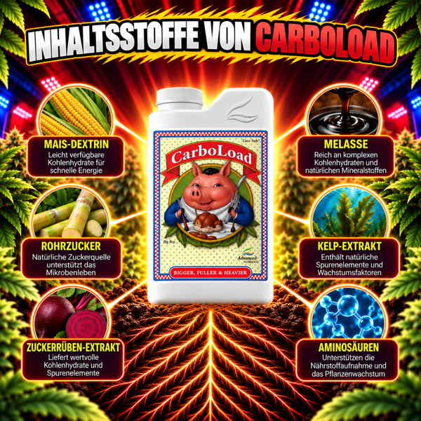 Infografik der Inhaltsstoffe von CarboLoad Pflanzendünger mit Maisdextrin, Melasse, Rohrzucker, Kelpextrakt, Zuckerrübenextrakt und Aminosäuren.