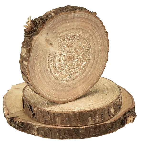 Drei naturbelassene Baumscheiben mit Rinde in verschiedenen Größen für Bastelarbeiten und Dekoration.