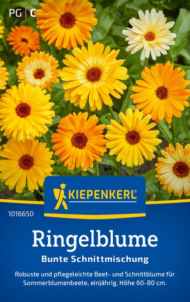 Saatgut Ringelblume Bunte Schnittmischung von Kiepenkerl für Sommerblumenbeete