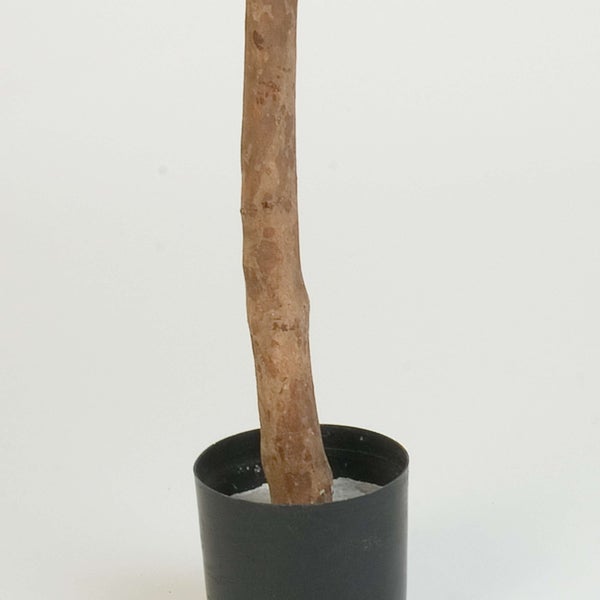 Künstlicher Pflanzenstamm in einem schwarzen Kunststofftopf.