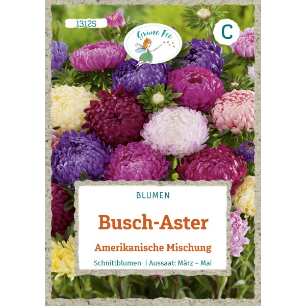 Busch-Aster Amerikanische Mischung Samen von Grüne Fee