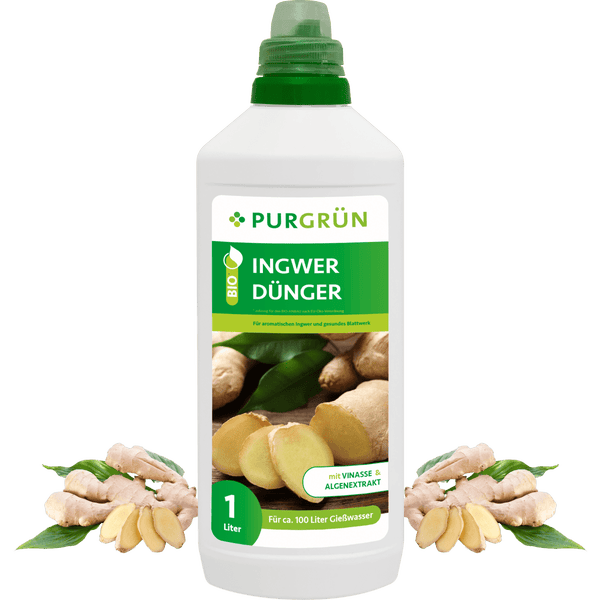 Purgrün Bio-Ingwer-Dünger 1 Liter