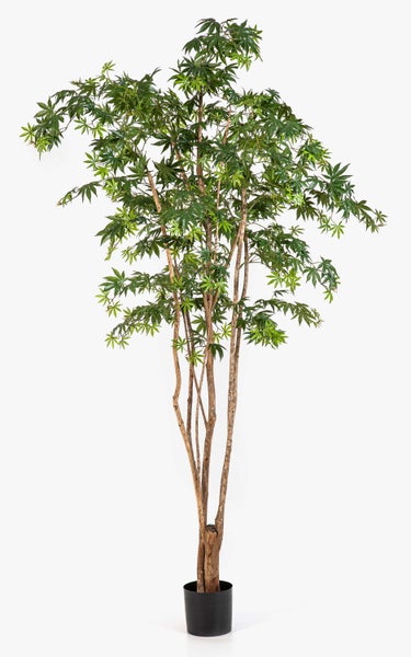 Künstlicher Ahornbaum mit mehreren Stämmen und grünen Blättern in einem schwarzen Topf.