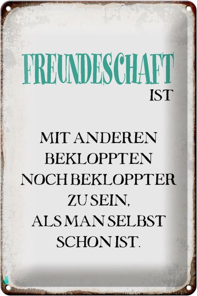 Blechschild Spruch 20x30cm Freundschaft ist mit anderen