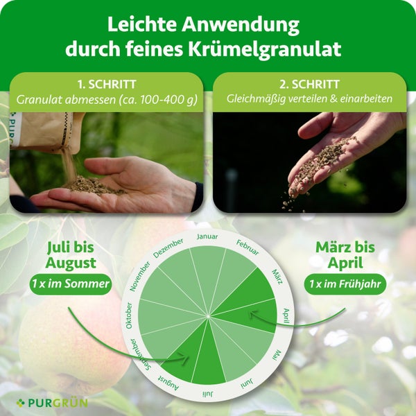 Anleitung zur Anwendung von Düngergranulat: Abmessen von circa 100 bis 400 Gramm und Verteilen. Anwendung im Frühjahr und Sommer. Purgrün Logo.